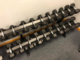 5LB-75LB Rubber Hexagon Dumbbells (RACK SOLD SEPARATELY)